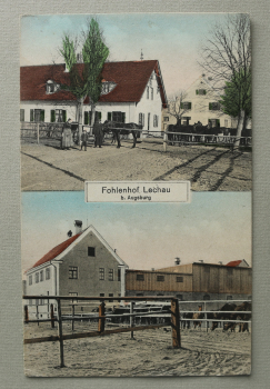 AK Augsburg / 1914 / Mehrbildkarte / Fohlenhof Lechau bei Augsburg / Pferde